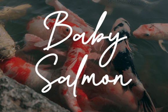 Baby Salmon Font: A Fluid Script for Editorial Sophistication
