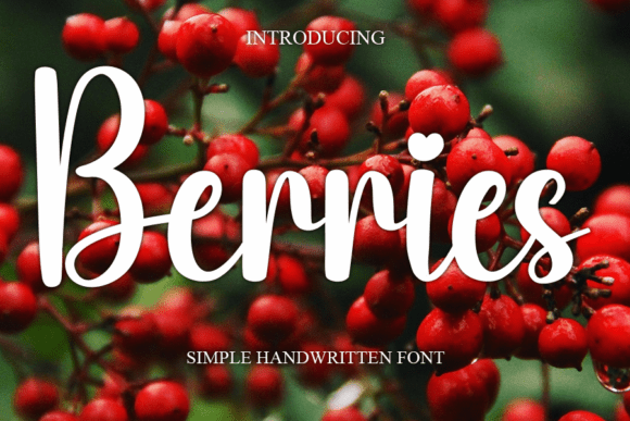 Berries Font: Adding Natural Energy to Your Campaign Visuals