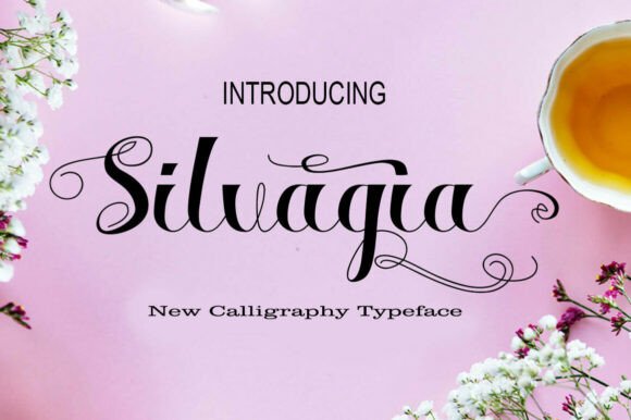 Choosing Silvagia: A Designer's Real Test for a Modern Brand